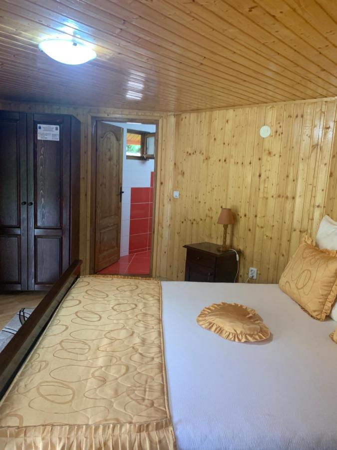 فندق Podul Cetatii Sebesel المظهر الخارجي الصورة